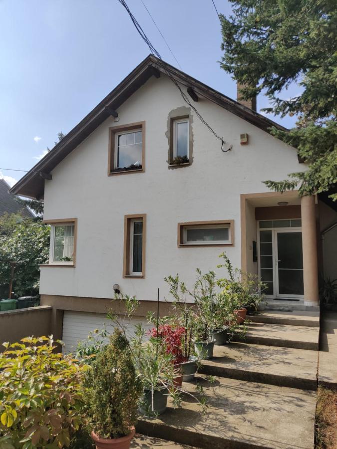 Dali Apartment Szentendre Eksteriør billede